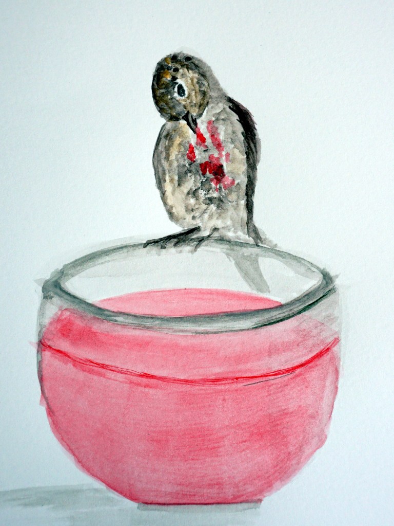 Bobbie Robin putting jelly on his chest