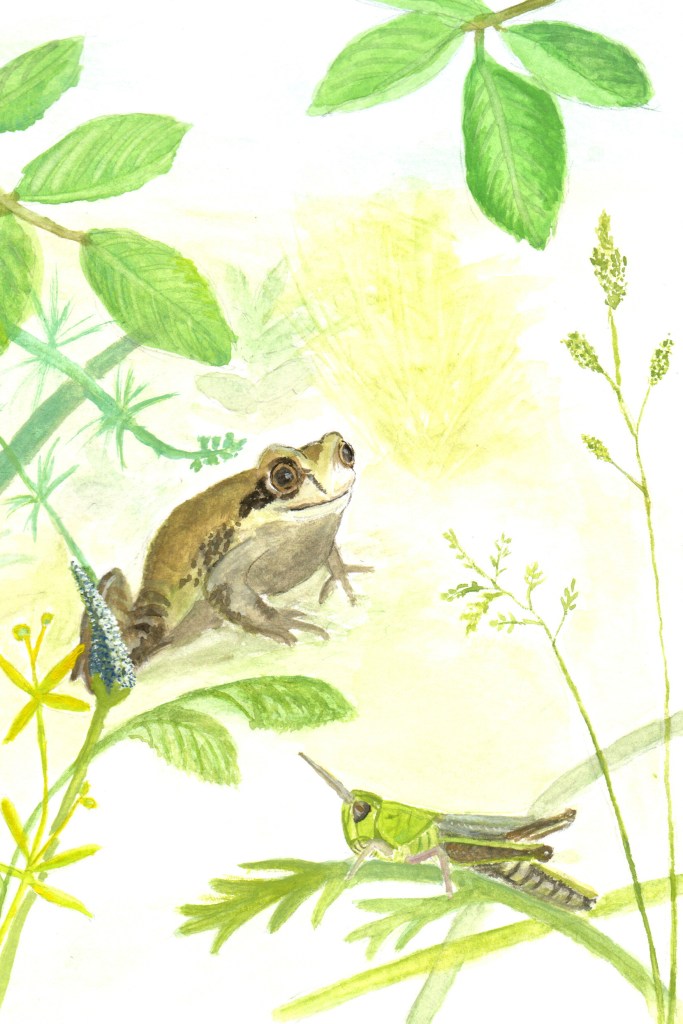 The frog was going to eat Gregory