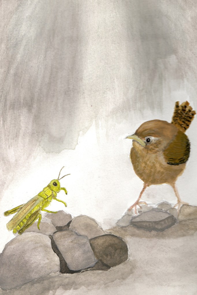 Gregory Grasshopper would help Jenny get out of the soak away 