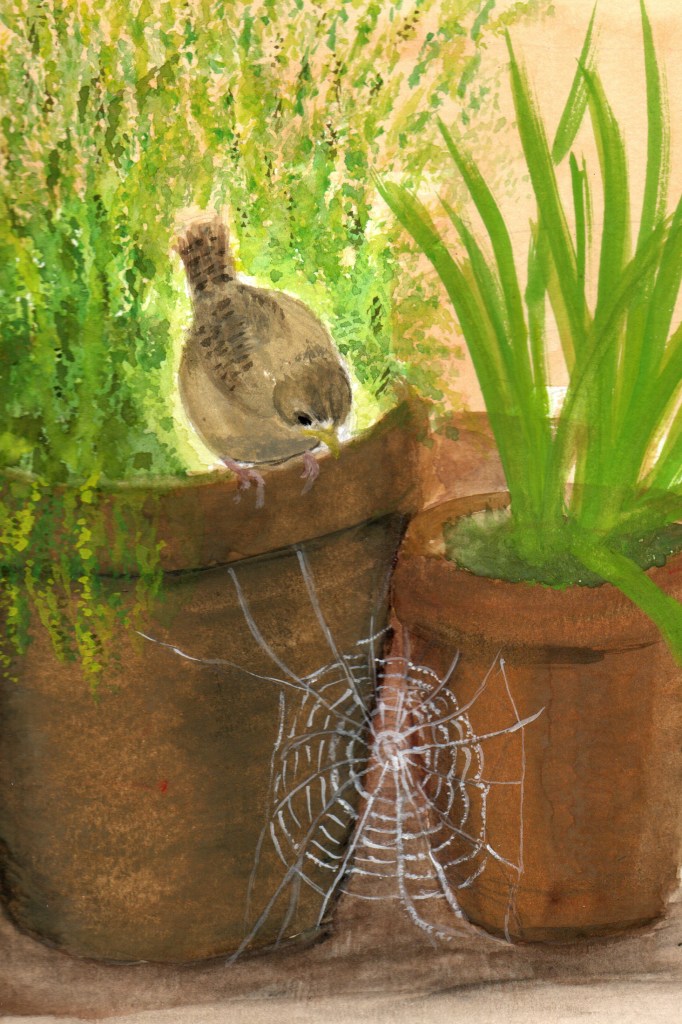 Jenny Wren looking for a spider to eat