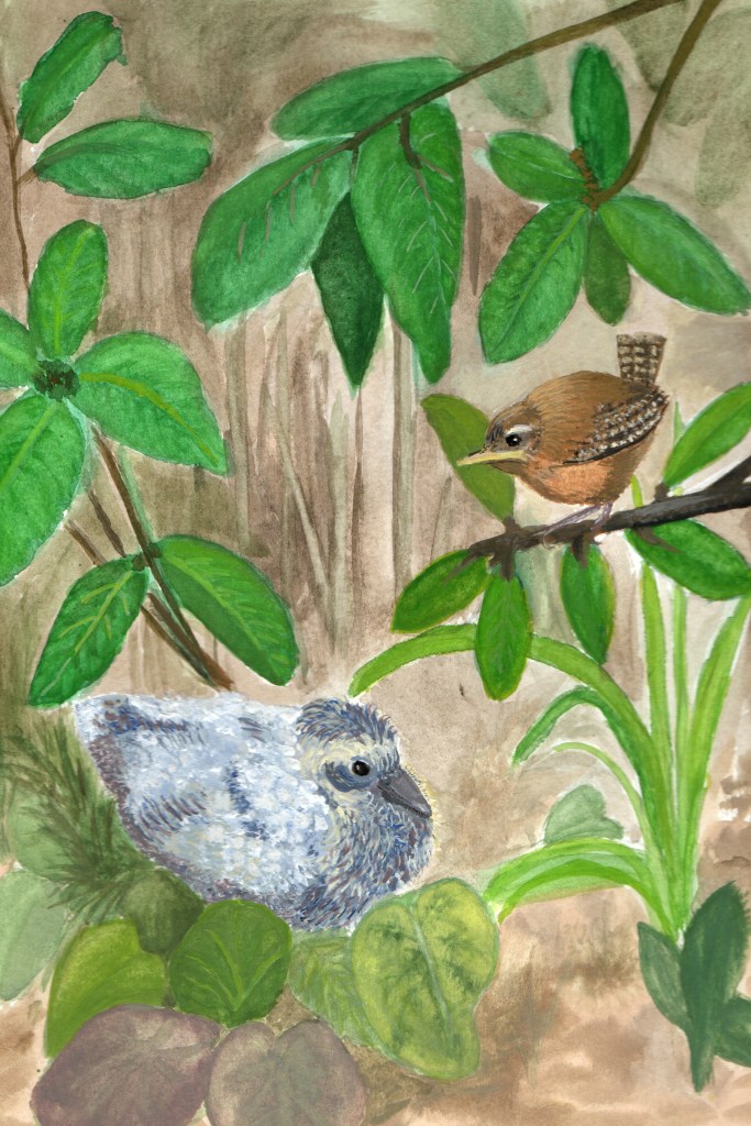 The baby pigeon had fallen out of the nest