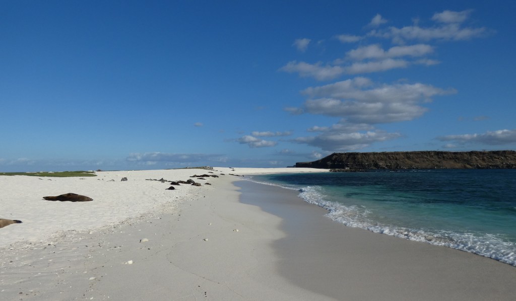 Beach on Mosquera Islet