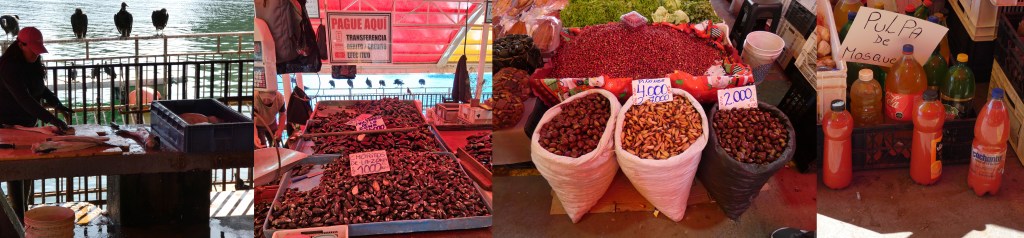 Fish market in Valdivia, Chile